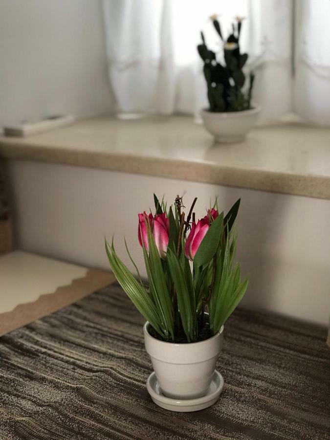 Apartment Center Roko Split Eksteriør bilde